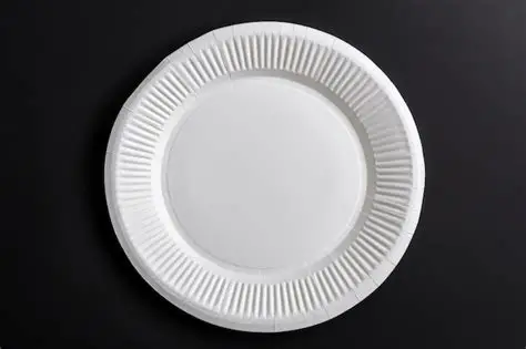 Paper plate(25pcs)